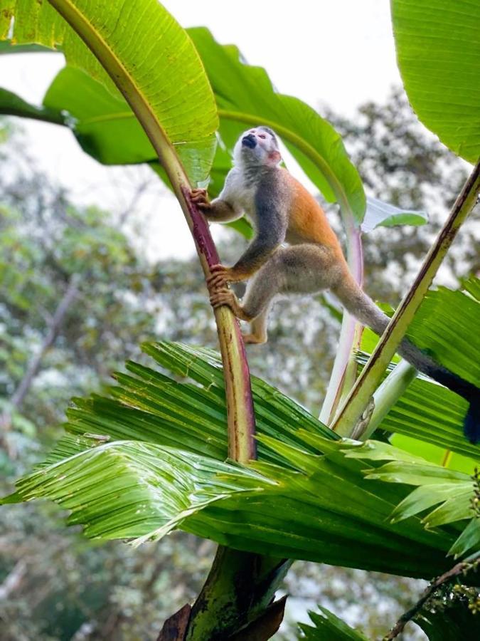 Suenos De Amor! Hermoso Y Acogedor Lugar เกโปส ภายนอก รูปภาพ