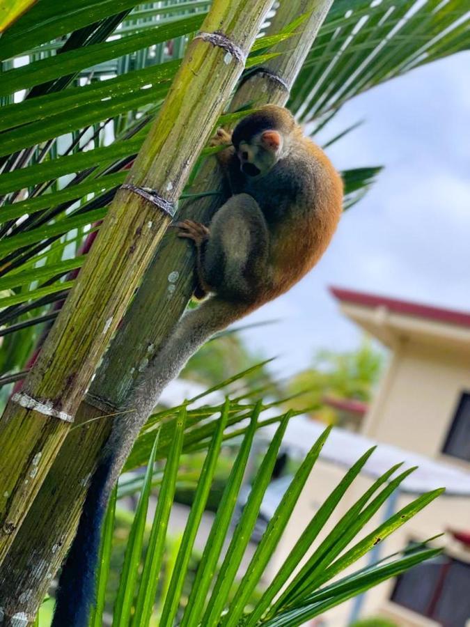 Suenos De Amor! Hermoso Y Acogedor Lugar เกโปส ภายนอก รูปภาพ